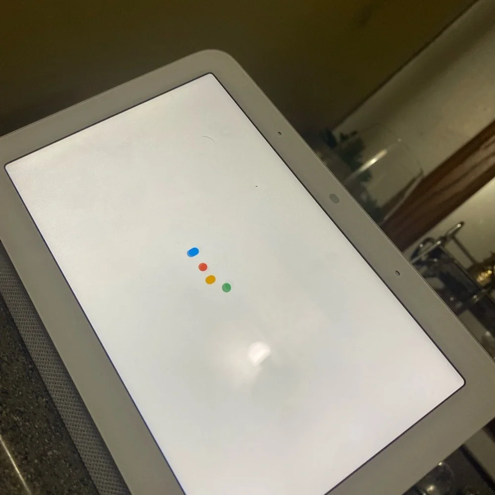 Google home nest